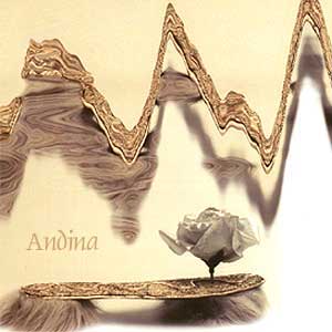 Schuh Adina