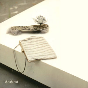 Schuh Andina
