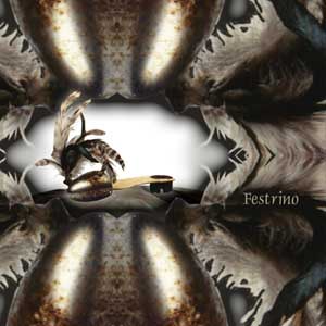 Schuhmodell Festrino
